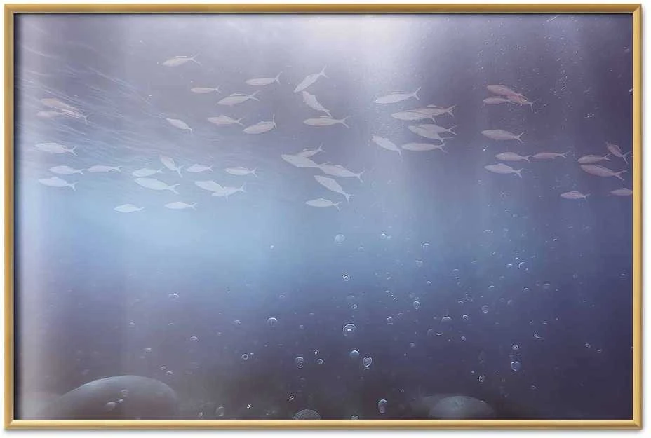 Artgeist Plakatas - Fish in the Depths