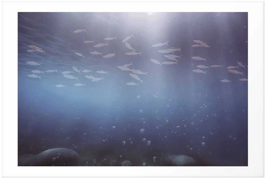 Artgeist Plakatas - Fish in the Depths