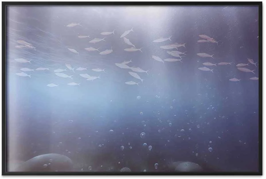 Artgeist Plakatas - Fish in the Depths
