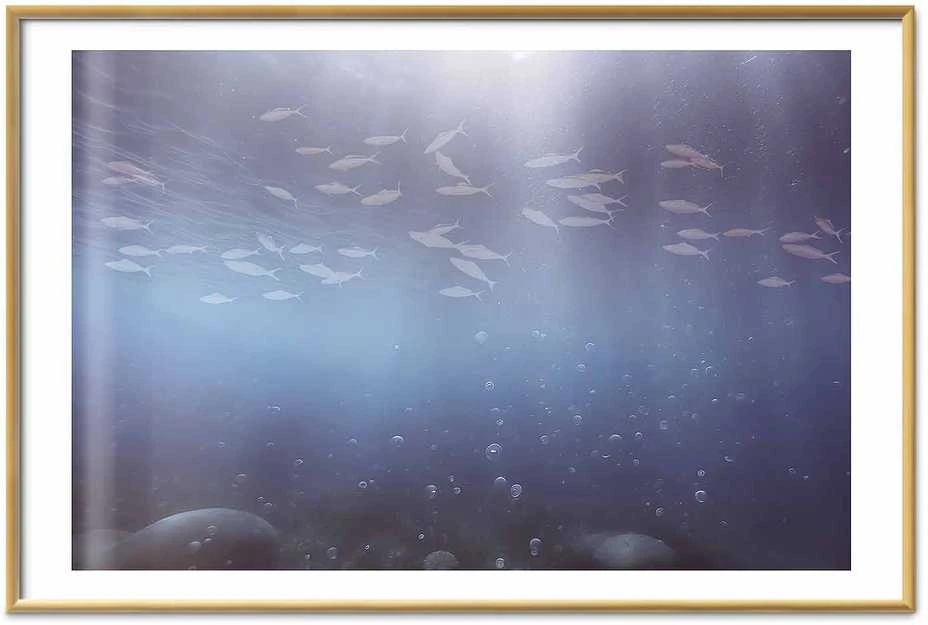 Artgeist Plakatas - Fish in the Depths
