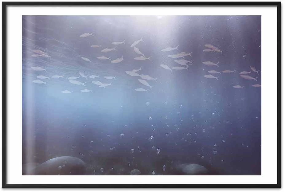 Artgeist Plakatas - Fish in the Depths