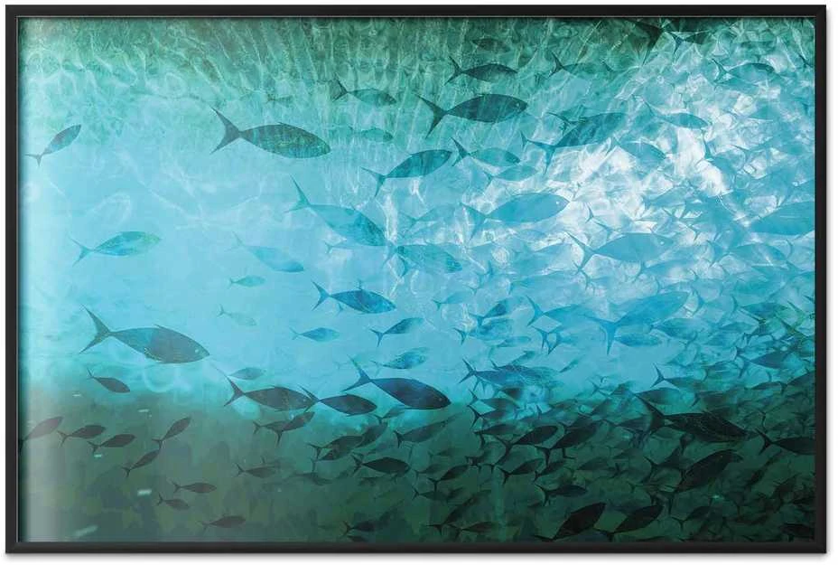 Artgeist Plakatas - Group of Dark Fish