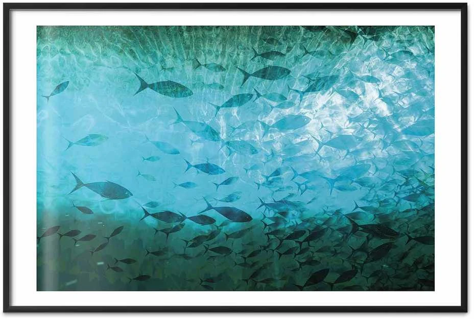 Artgeist Plakatas - Group of Dark Fish