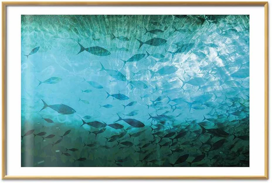 Artgeist Plakatas - Group of Dark Fish