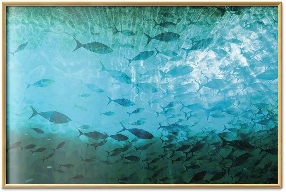 Artgeist Plakatas - Group of Dark Fish