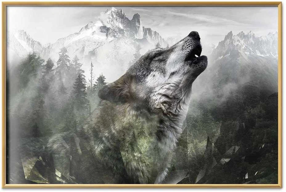Artgeist Plakatas - Howling Wolf
