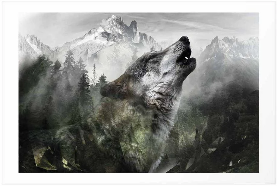 Artgeist Plakatas - Howling Wolf