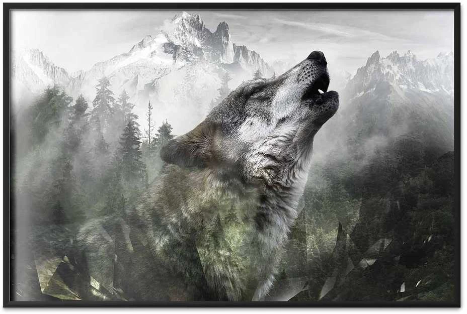 Artgeist Plakatas - Howling Wolf