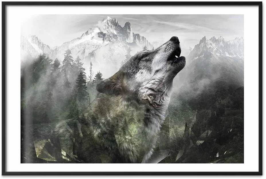 Artgeist Plakatas - Howling Wolf