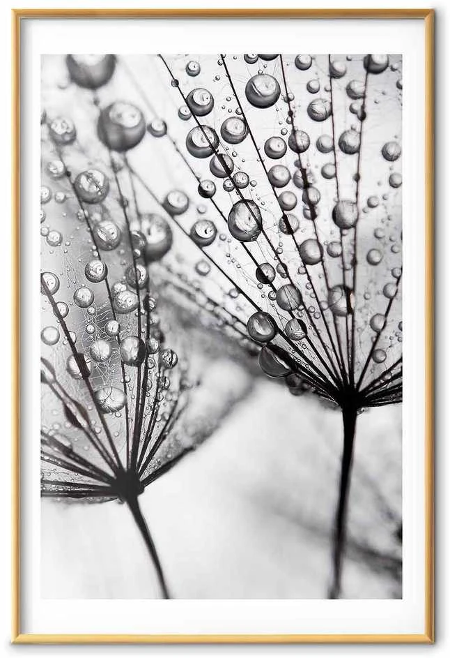 Artgeist Plakatas - Macro Dew