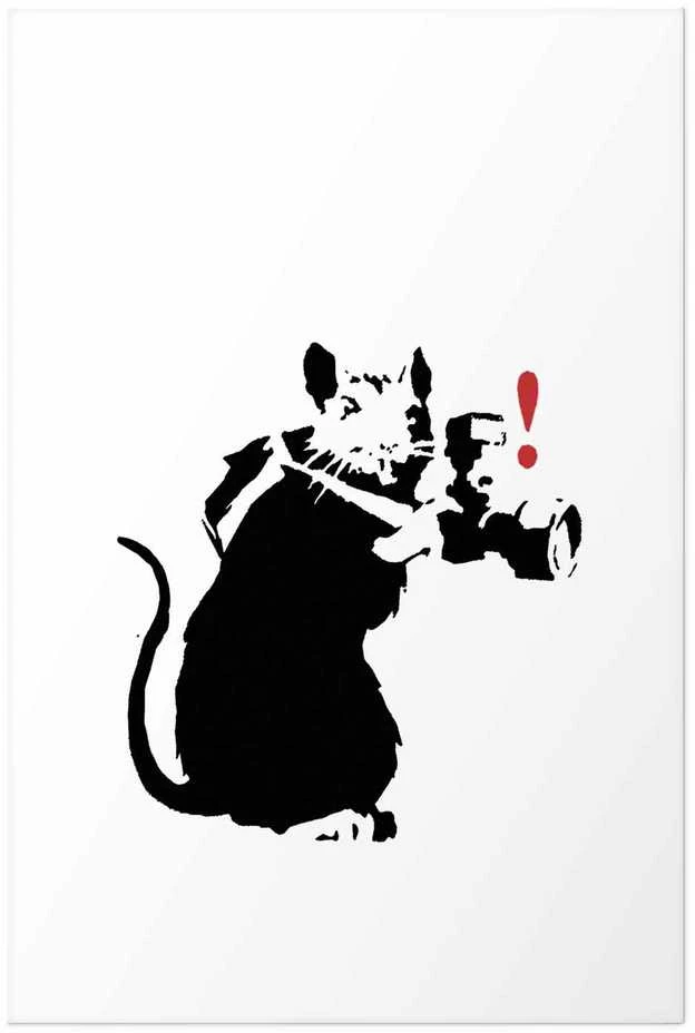 Artgeist Plakatas - Photographer Rat