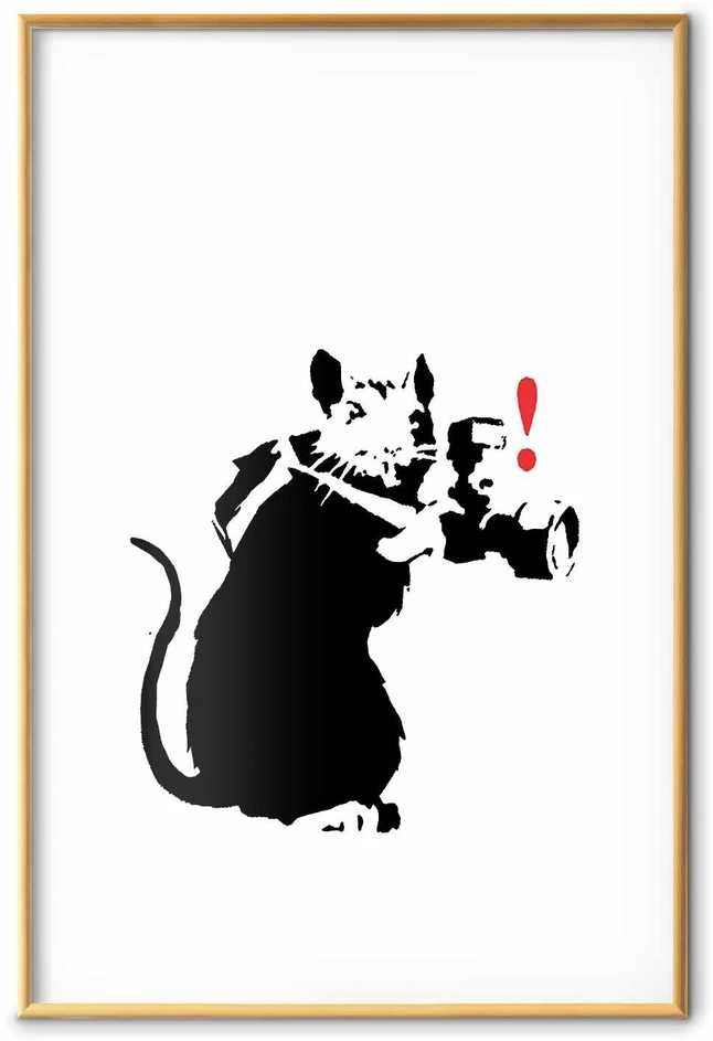 Artgeist Plakatas - Photographer Rat