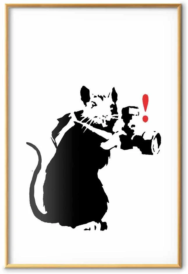 Artgeist Plakatas - Photographer Rat