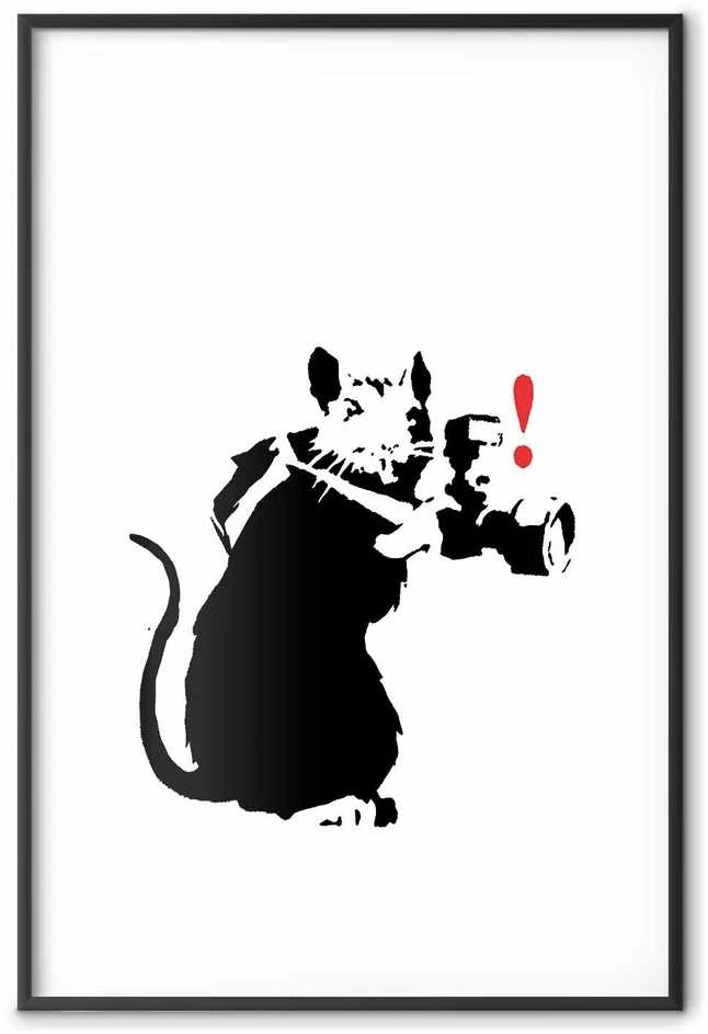 Artgeist Plakatas - Photographer Rat
