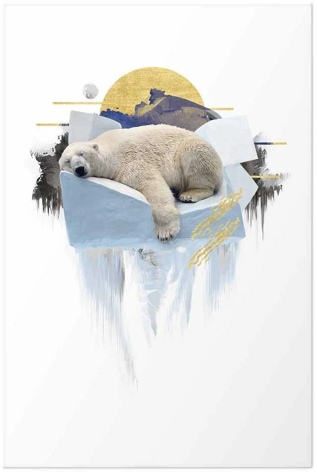 Artgeist Plakatas - Polar Bear