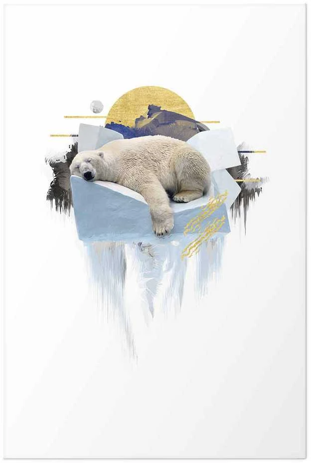 Artgeist Plakatas - Polar Bear