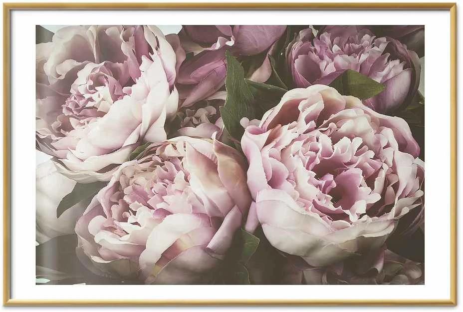 Artgeist Plakatas - Rožinė Peonies