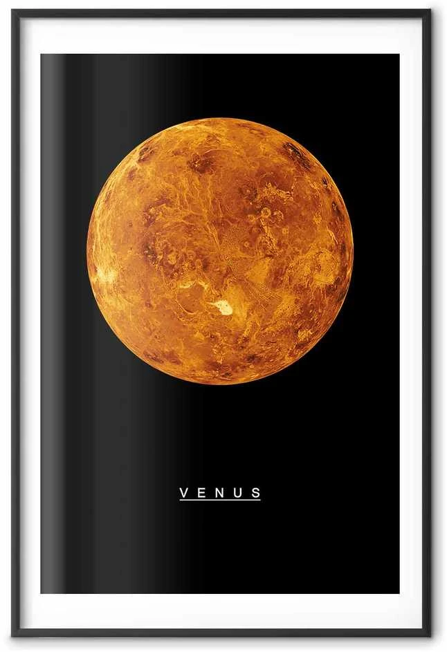 Artgeist Plakatas - Venus