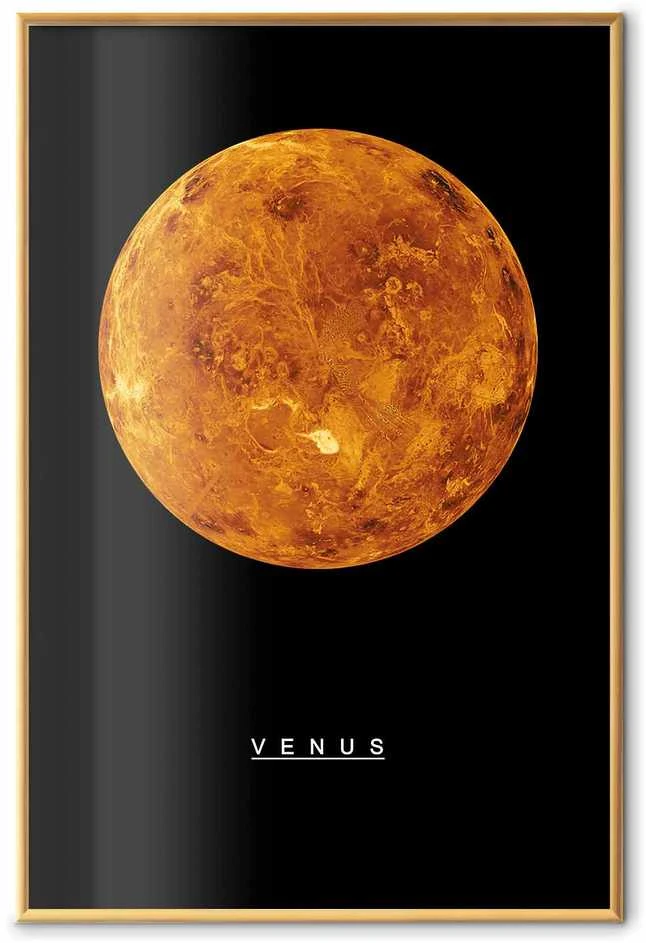 Artgeist Plakatas - Venus