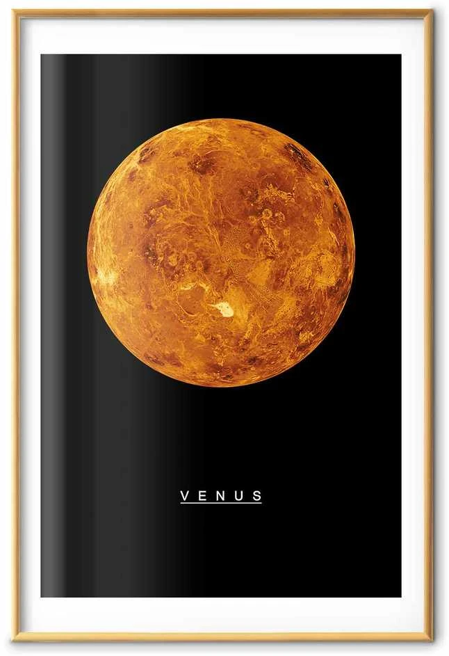 Artgeist Plakatas - Venus