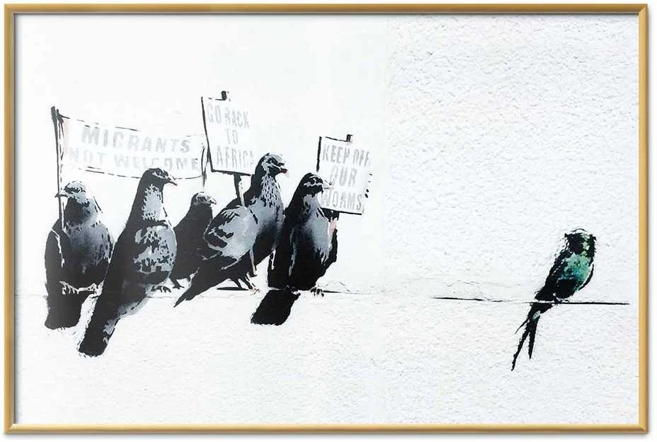 Artgeist Plakatas - Xenophobic Pigeons