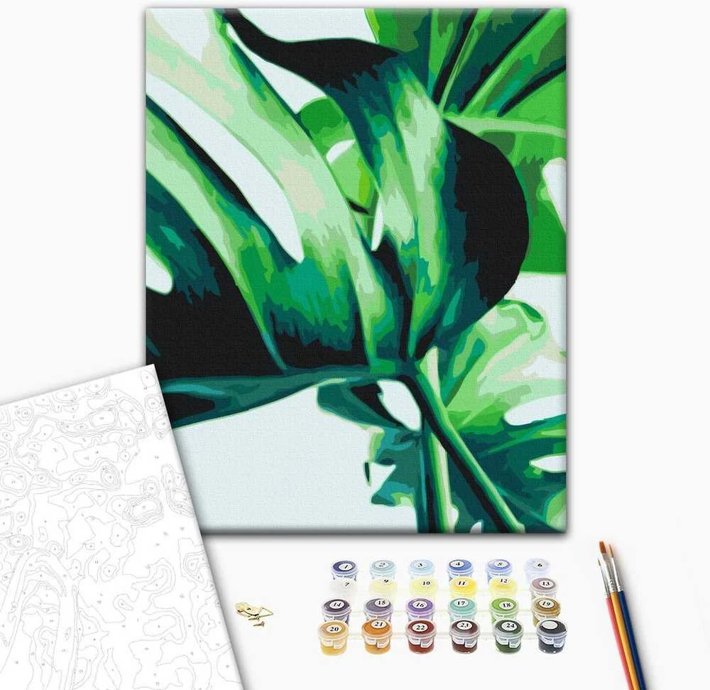 Artgeist Tapybos pagal skaičius rinkinys - Monstera Adansonii