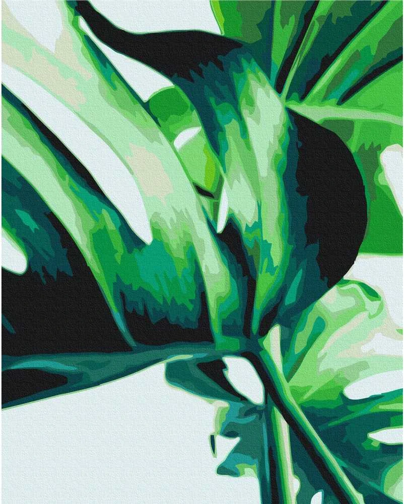 Artgeist Tapybos pagal skaičius rinkinys - Monstera Adansonii