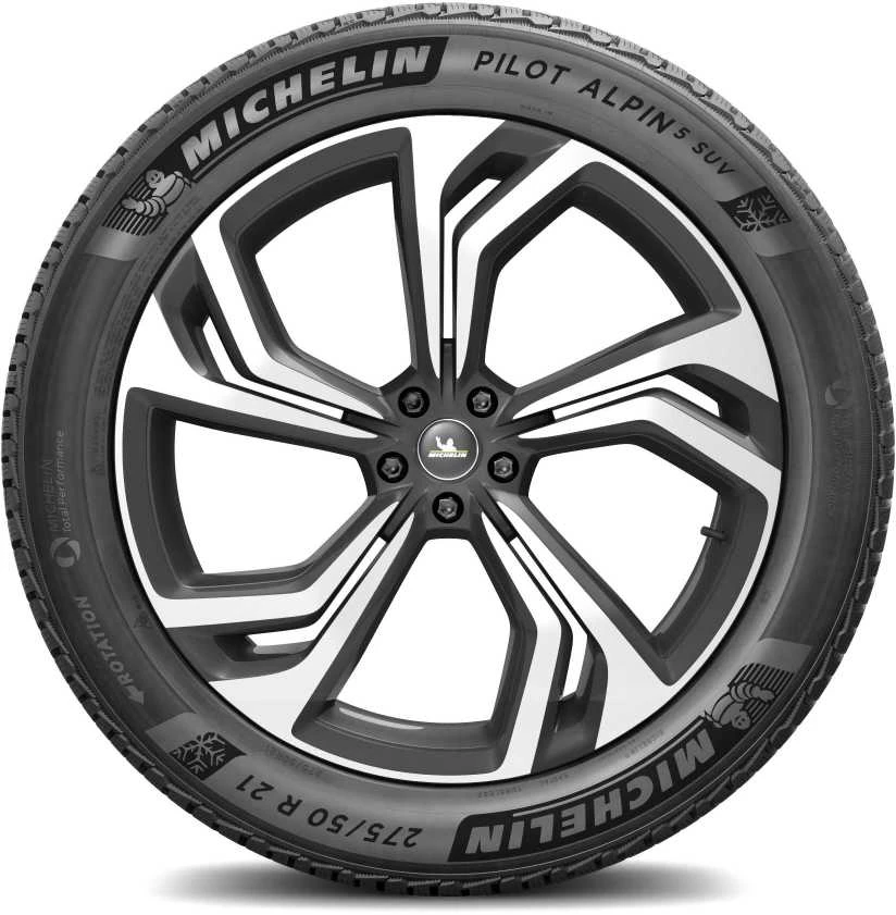 Michelin Padangos Pilot Alpin 5 SUV 113 V XL (C C C 74dB)