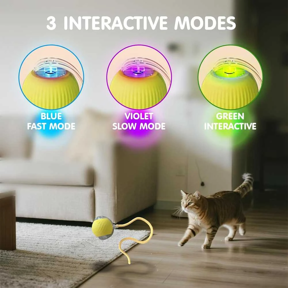 Interaktyvus išmanusis žaislas katėms kamuolys Cat Ball, violetinis