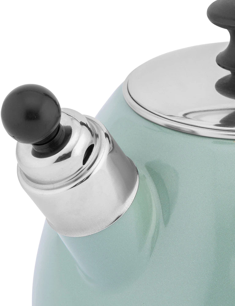 Balbina enamelled conical virdulys 2,5 L sage