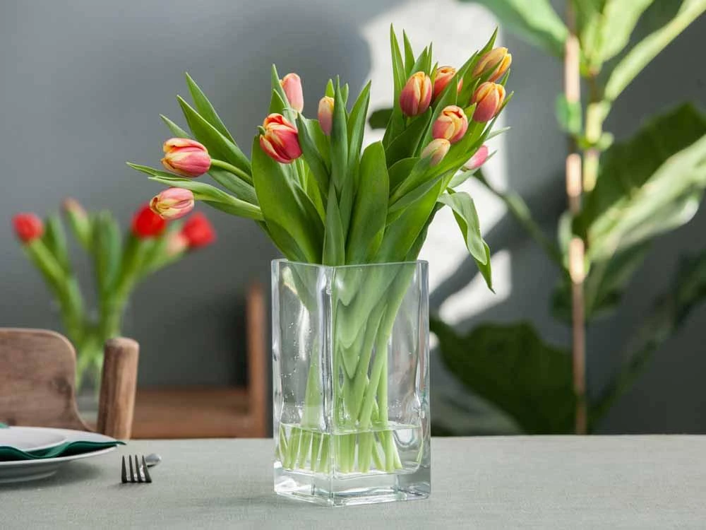 Mondex Glass vase square 10x10 cm h 20 cm