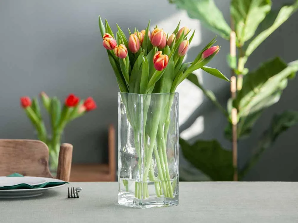 Mondex Glass vase square 10x10 cm h 25 cm