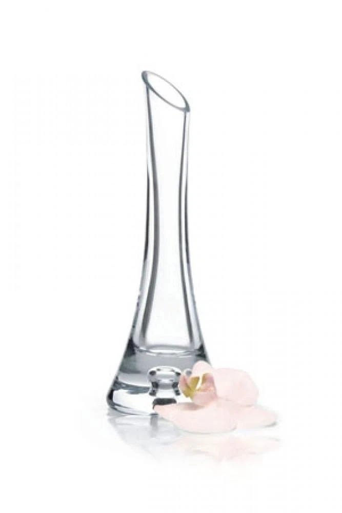 VAZĖ SU AŠARA H-25CM (05-095/25)