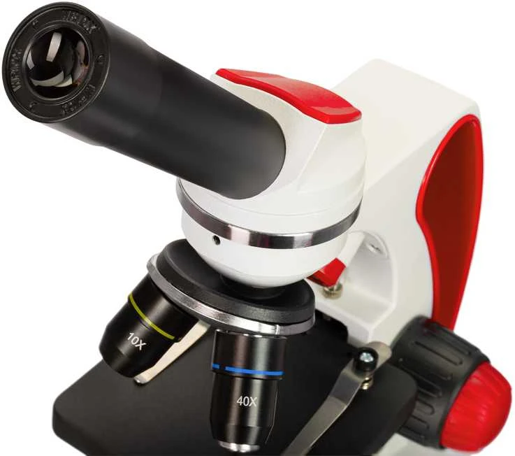 Discovery Pico Terra Mikroskopas su knyga