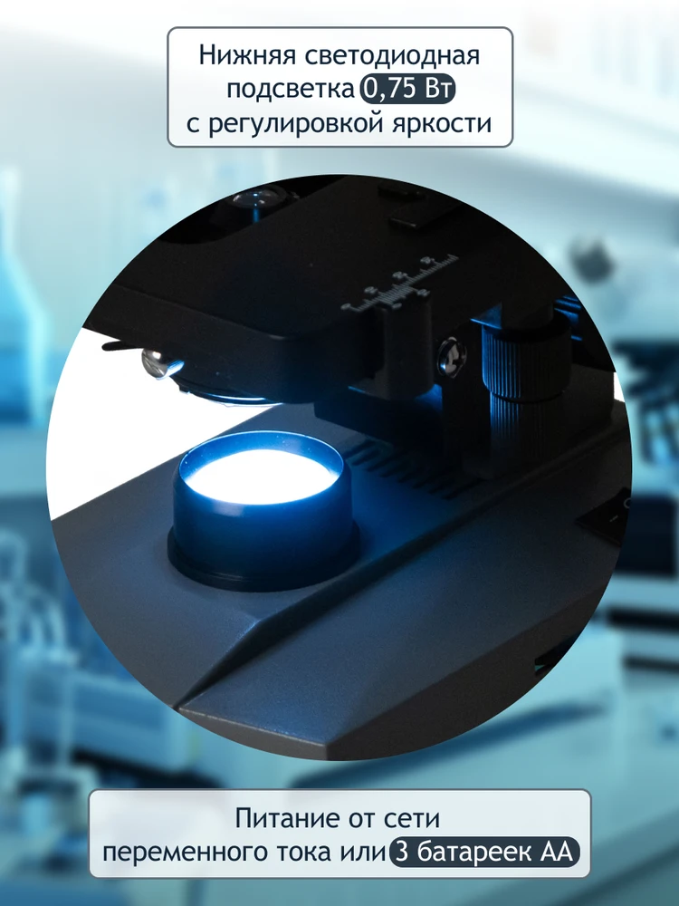 Mikroskopas Levenhuk D320L PLUS 3.1M Digital Monocular Microscope