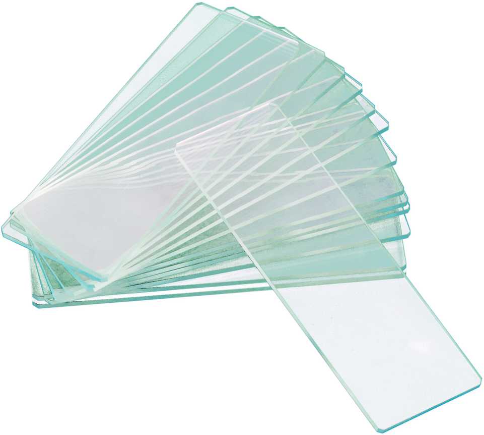 Levenhuk G50 2H Double Cavity Blank Slides, 50 vnt