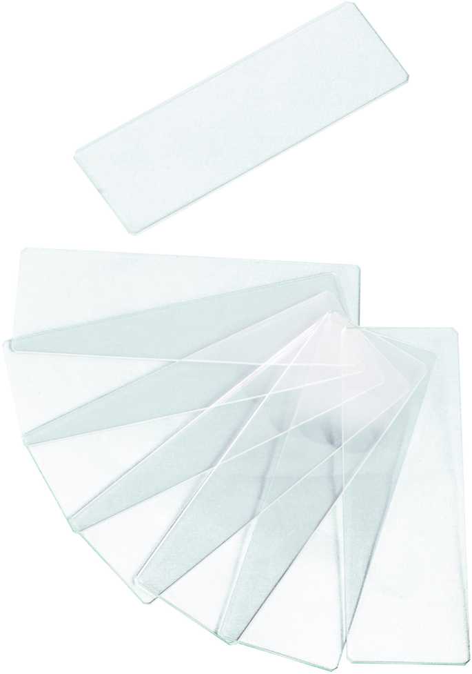 Levenhuk G50 2H Double Cavity Blank Slides, 50 vnt