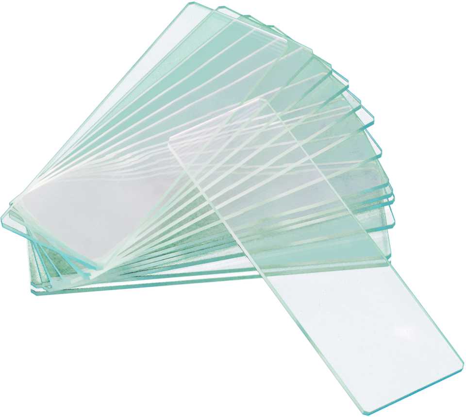 Levenhuk G50 2H Double Cavity Blank Slides, 50 vnt