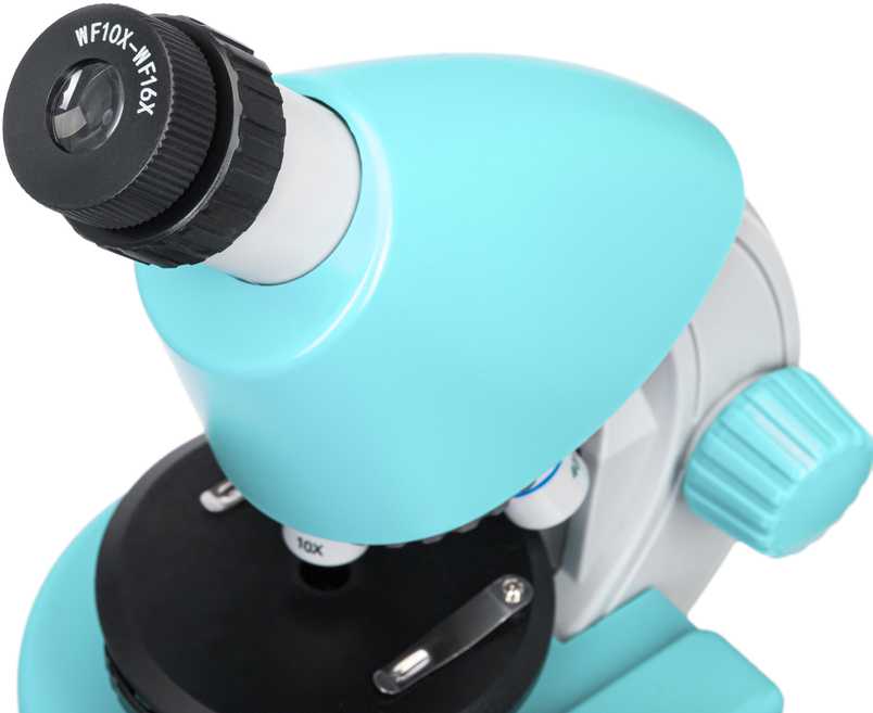 Mikroskopas, Discovery Micro Marine, 40x-640x, su knyga