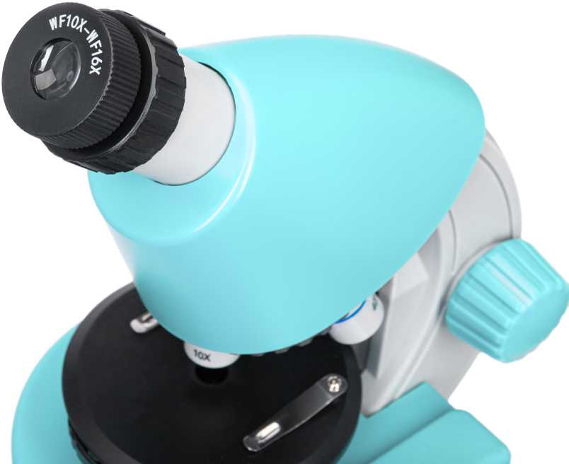 Mikroskopas, Discovery Micro Marine, 40x-640x, su knyga