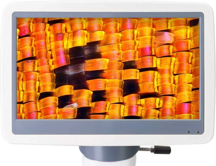 Levenhuk D95L LCD skaitmeninis mikroskopas