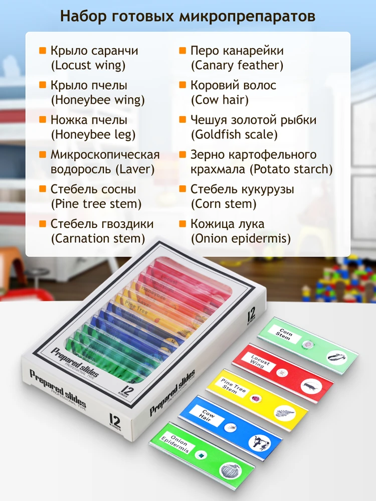 Mikroskopas, Levenhuk LabZZ DM200 LCD Digital, 17x–220x