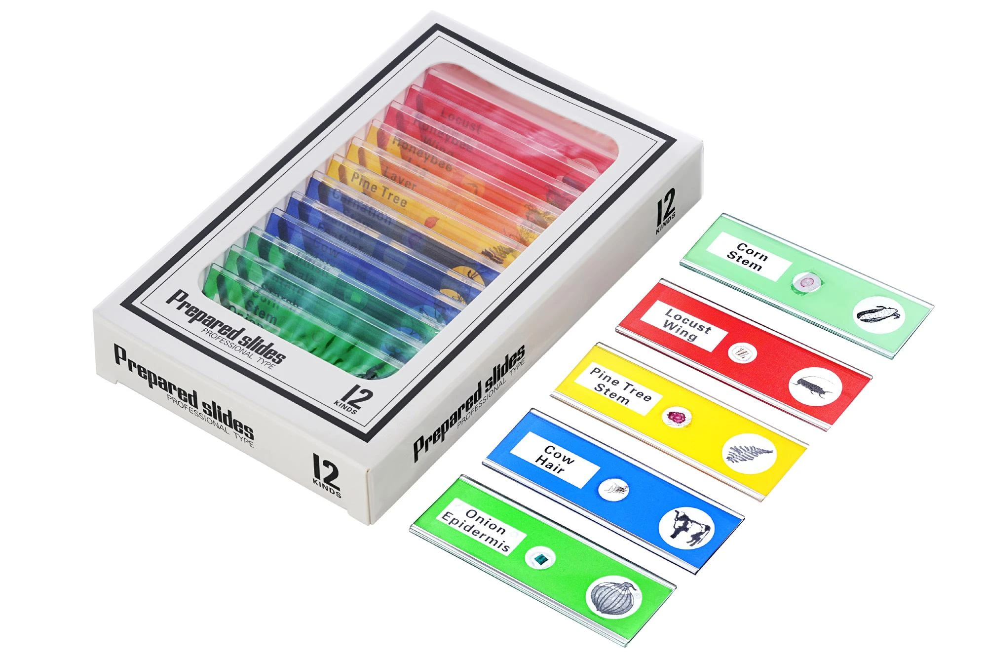 Mikroskopas, Levenhuk LabZZ DM200 LCD Digital, 17x–220x