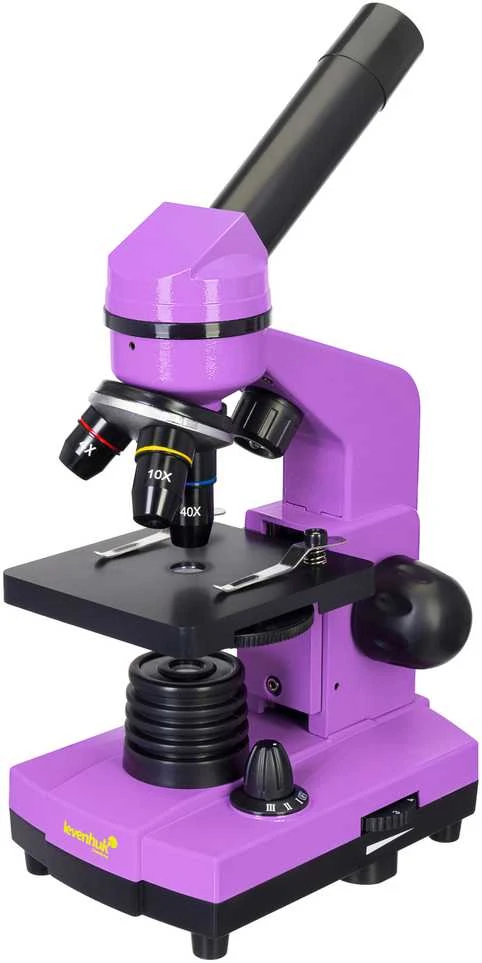 Mikroskopas Levenhuk Rainbow 2L Amethyst 40x - 400x su eksperimento komplektu K50
