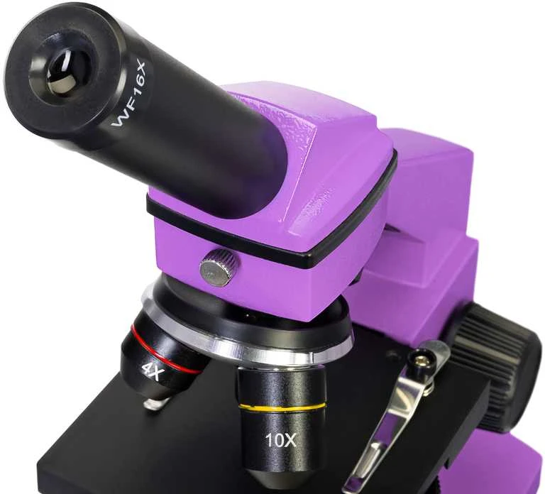 Mikroskopas Levenhuk Rainbow 2L PLUS Amethyst 64x - 640x su eksperimento komplektu K50