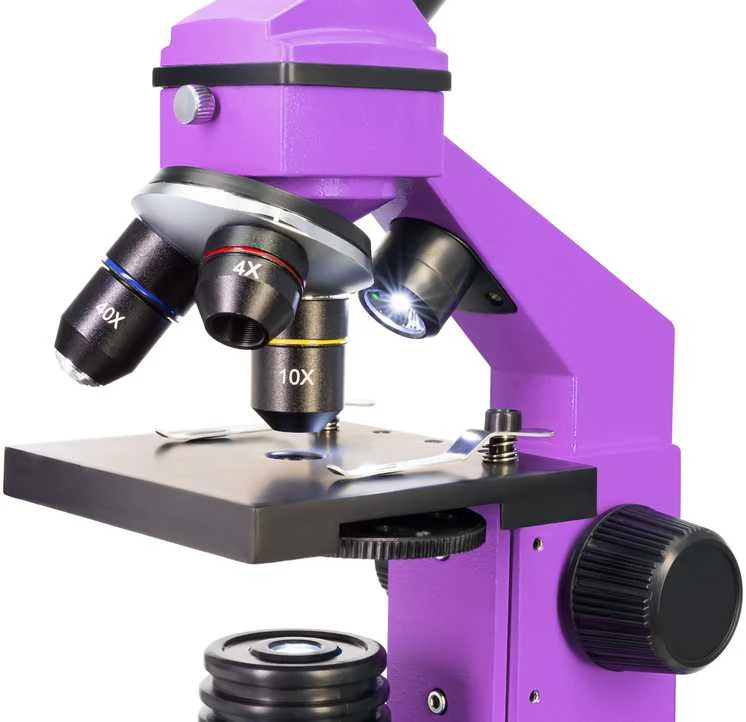 Mikroskopas Levenhuk Rainbow 2L PLUS Amethyst 64x - 640x su eksperimento komplektu K50