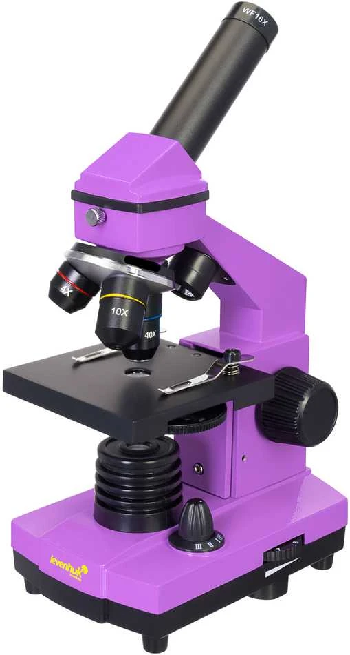 Mikroskopas Levenhuk Rainbow 2L PLUS Amethyst 64x - 640x su eksperimento komplektu K50