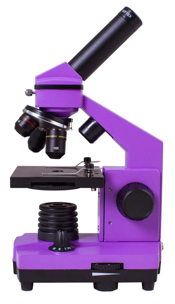 Mikroskopas Levenhuk Rainbow 2L PLUS Amethyst 64x - 640x su eksperimento komplektu K50