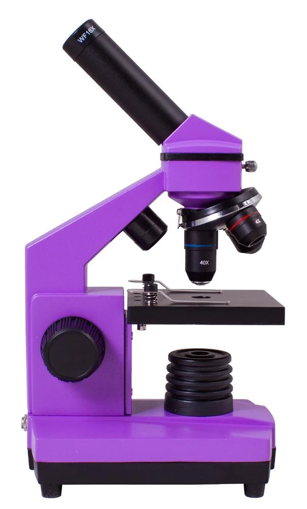 Mikroskopas Levenhuk Rainbow 2L PLUS Amethyst 64x - 640x su eksperimento komplektu K50