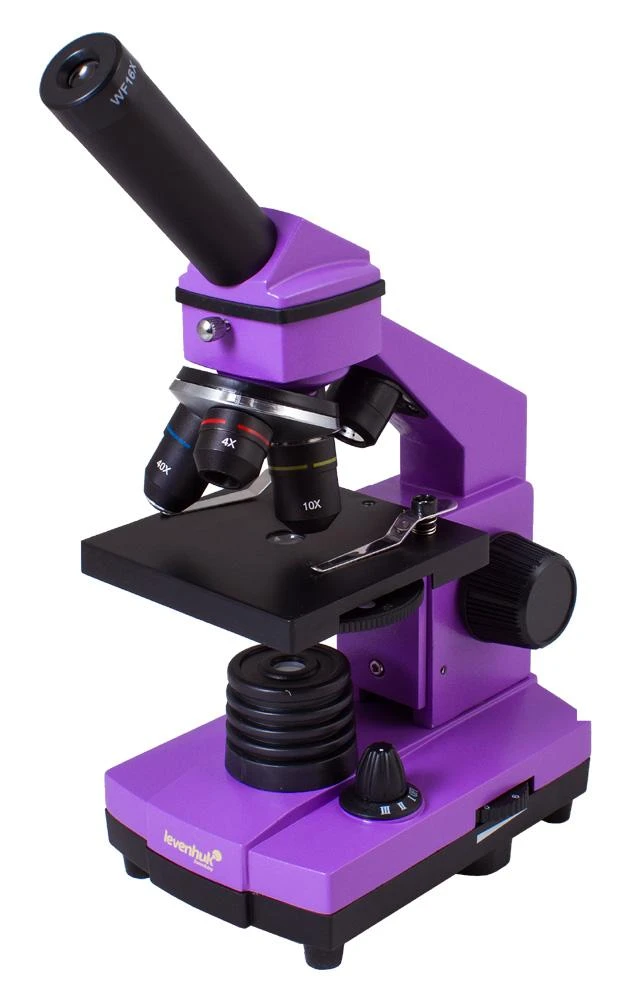 Mikroskopas Levenhuk Rainbow 2L PLUS Amethyst 64x - 640x su eksperimento komplektu K50